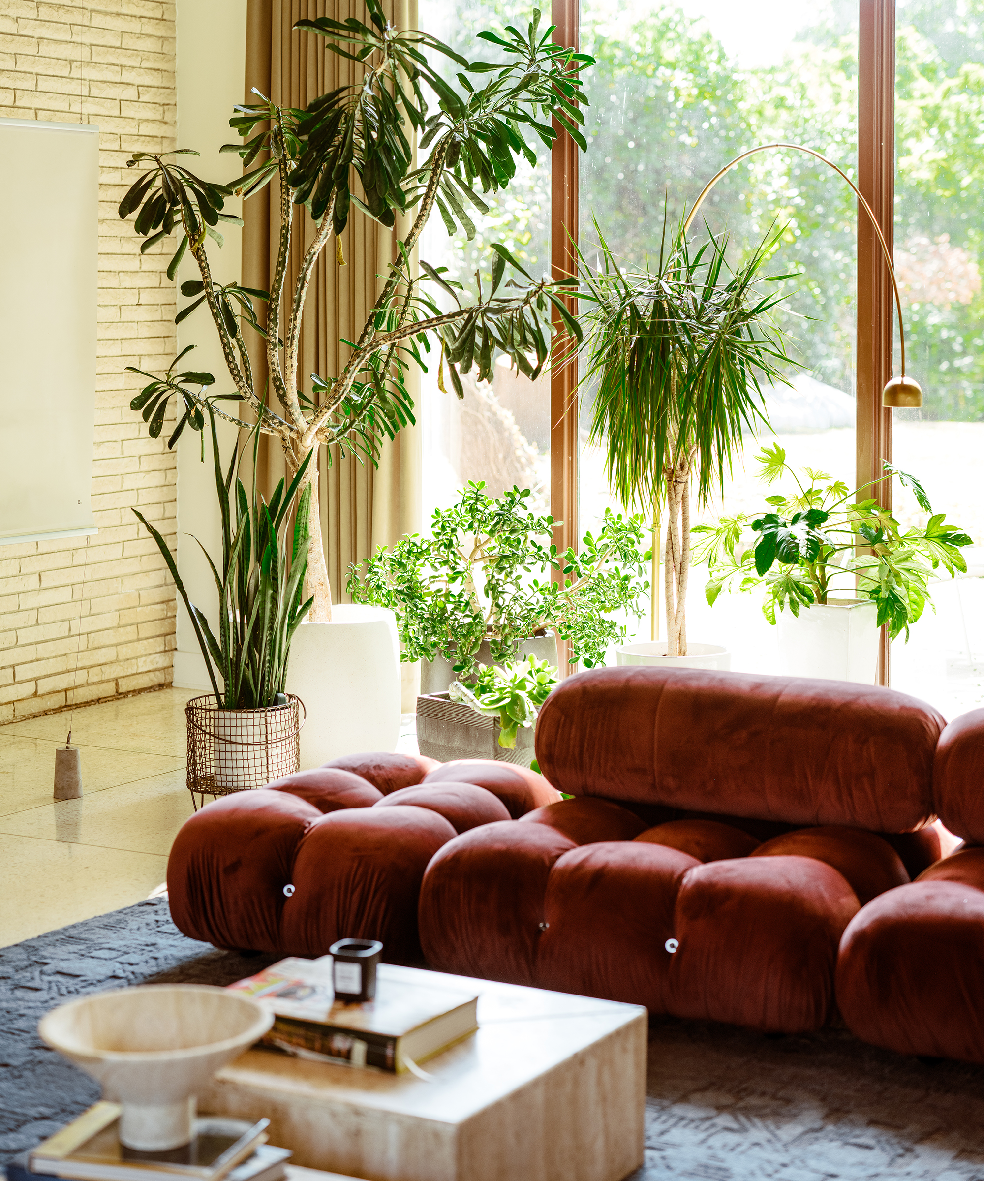 alex-snodgrass-home-tour-pink-velvet-couch-green-plants