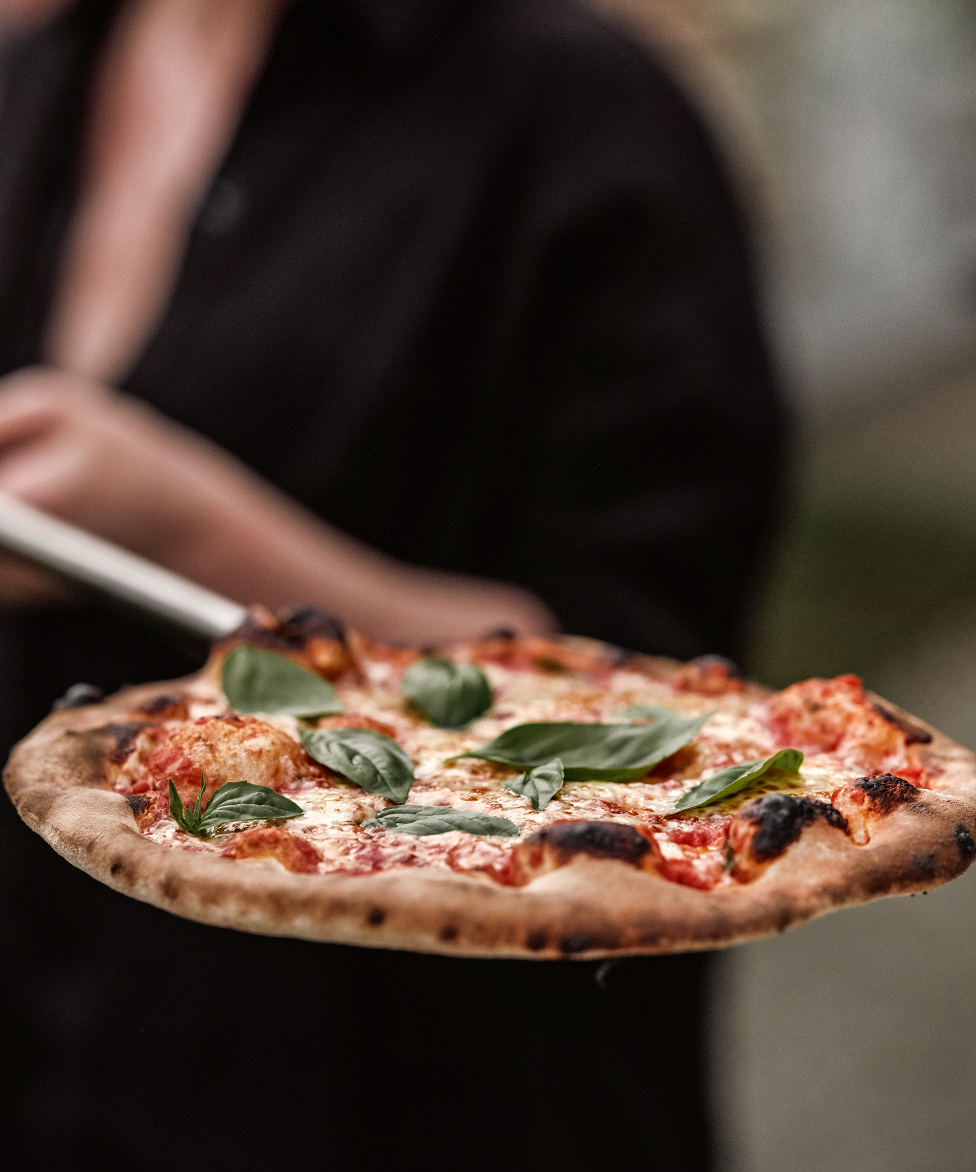 a margherita pizza on a pizza oven tray