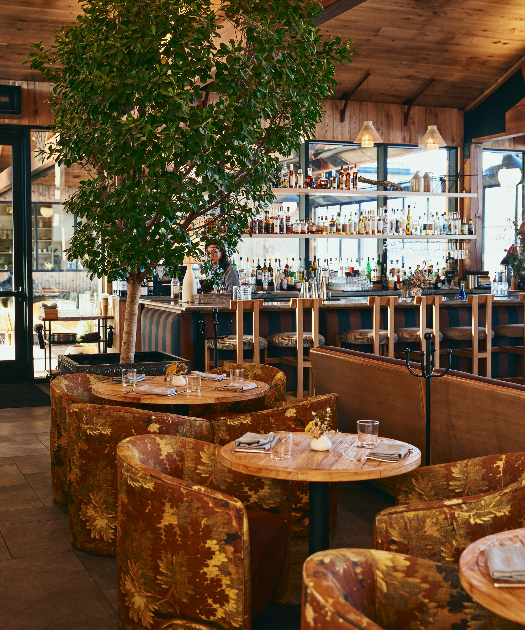ward-and-gray-wildflowers-resort-restaurant-curved-chairs