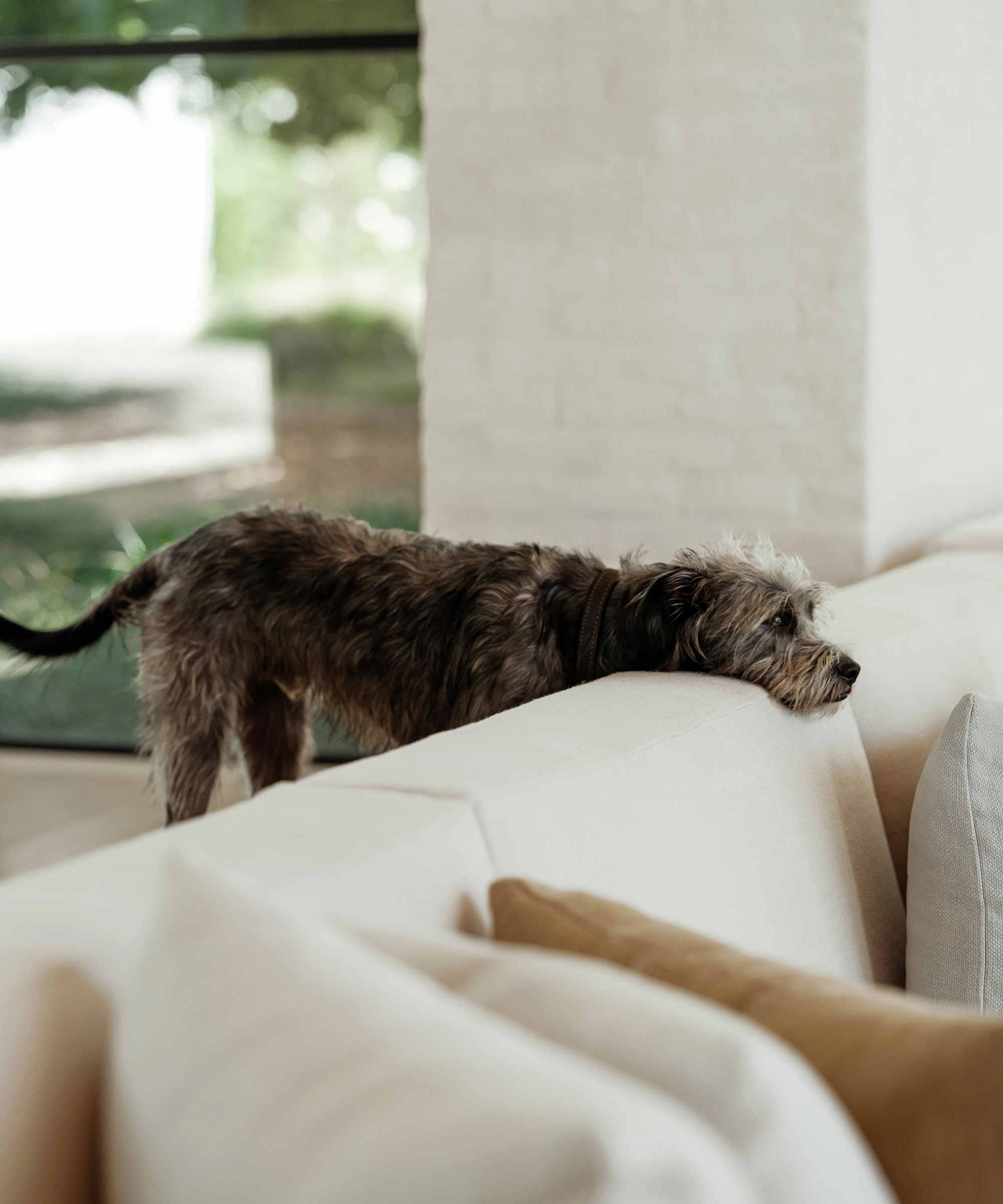 jenni-may-style-dog-couch-head-rest