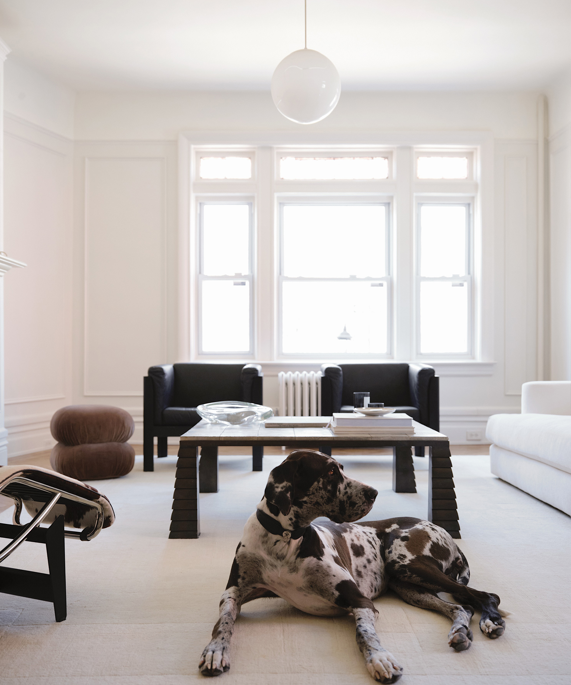 madelynn-hudson-maternity-style-interiors-living-room-dog