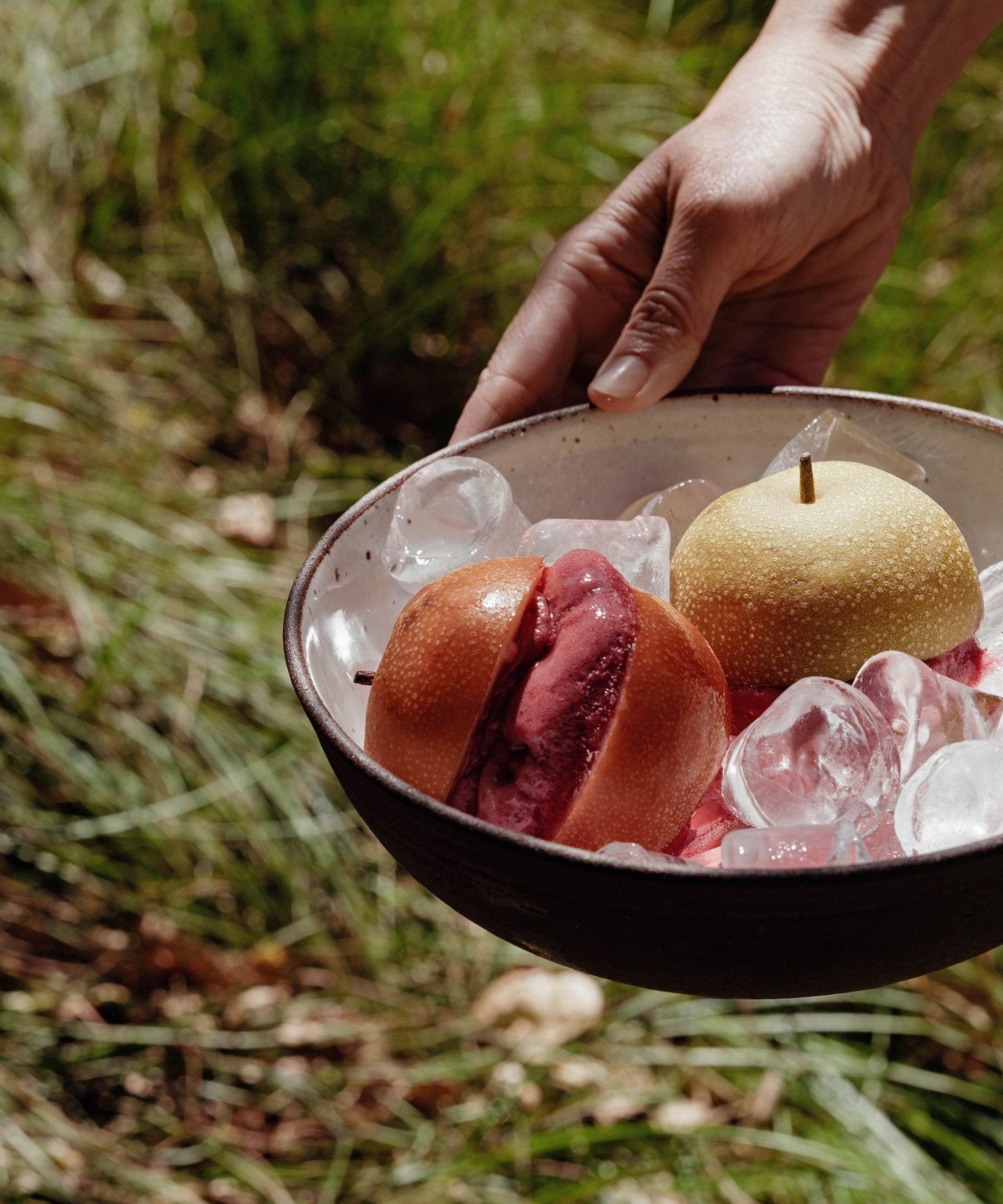 a person holding a bowl of ice with pears and sorbet over a patch of grass