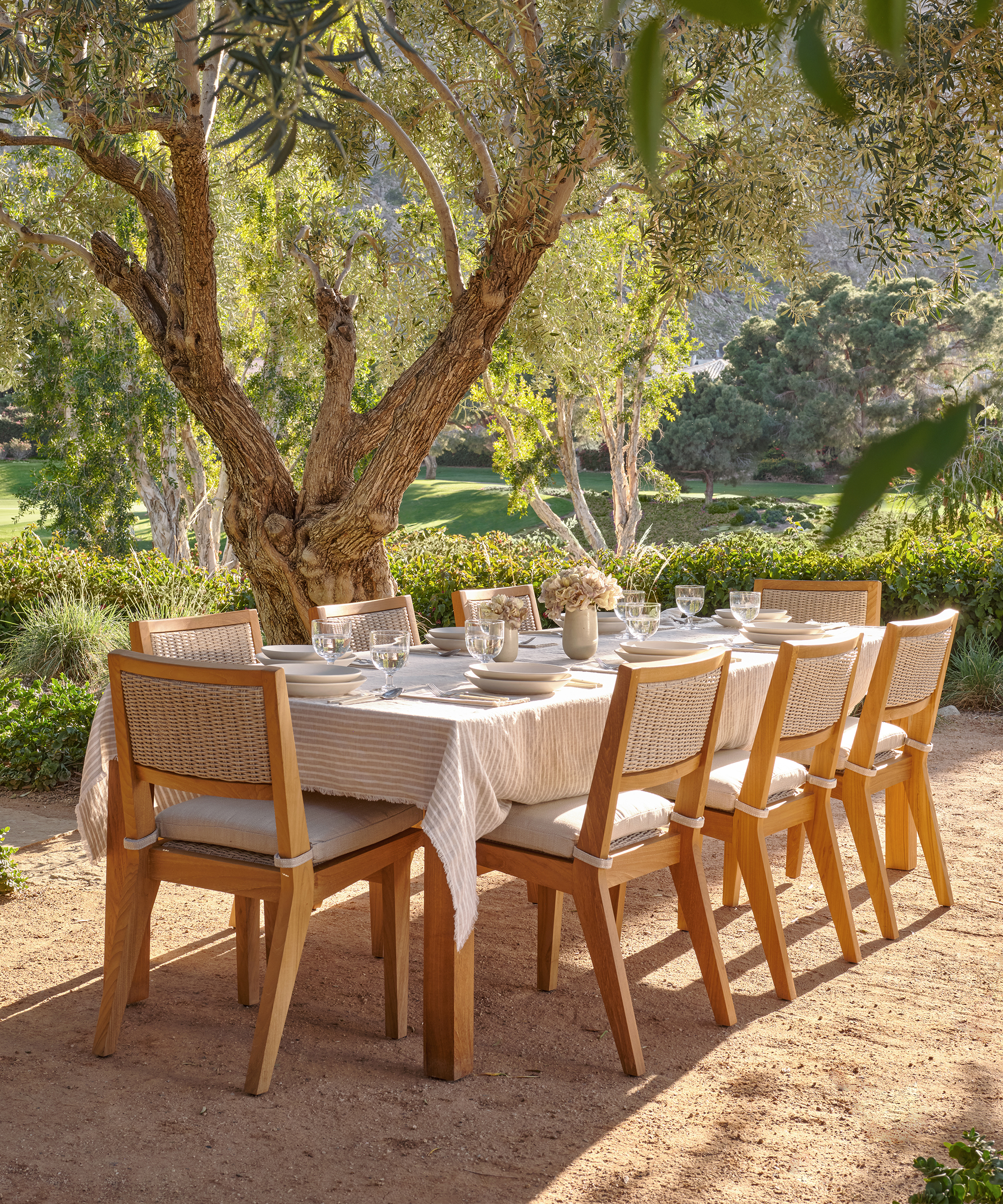 teak outdoor dining table and teak outdoor dining chairs under olives trees in a backyard with gravel