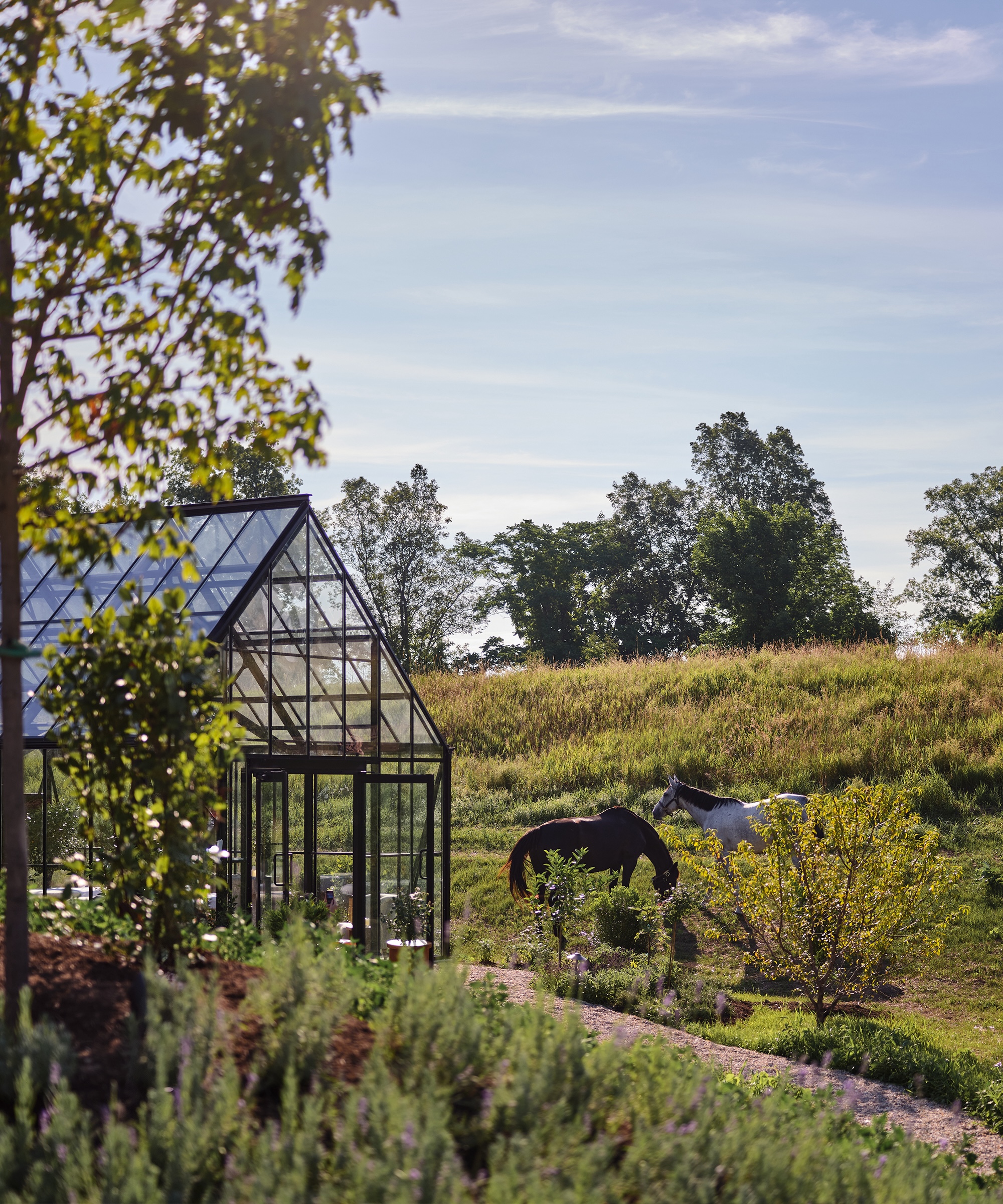 jenni-kayne-farmhouse-reveal-horses-greenhouse