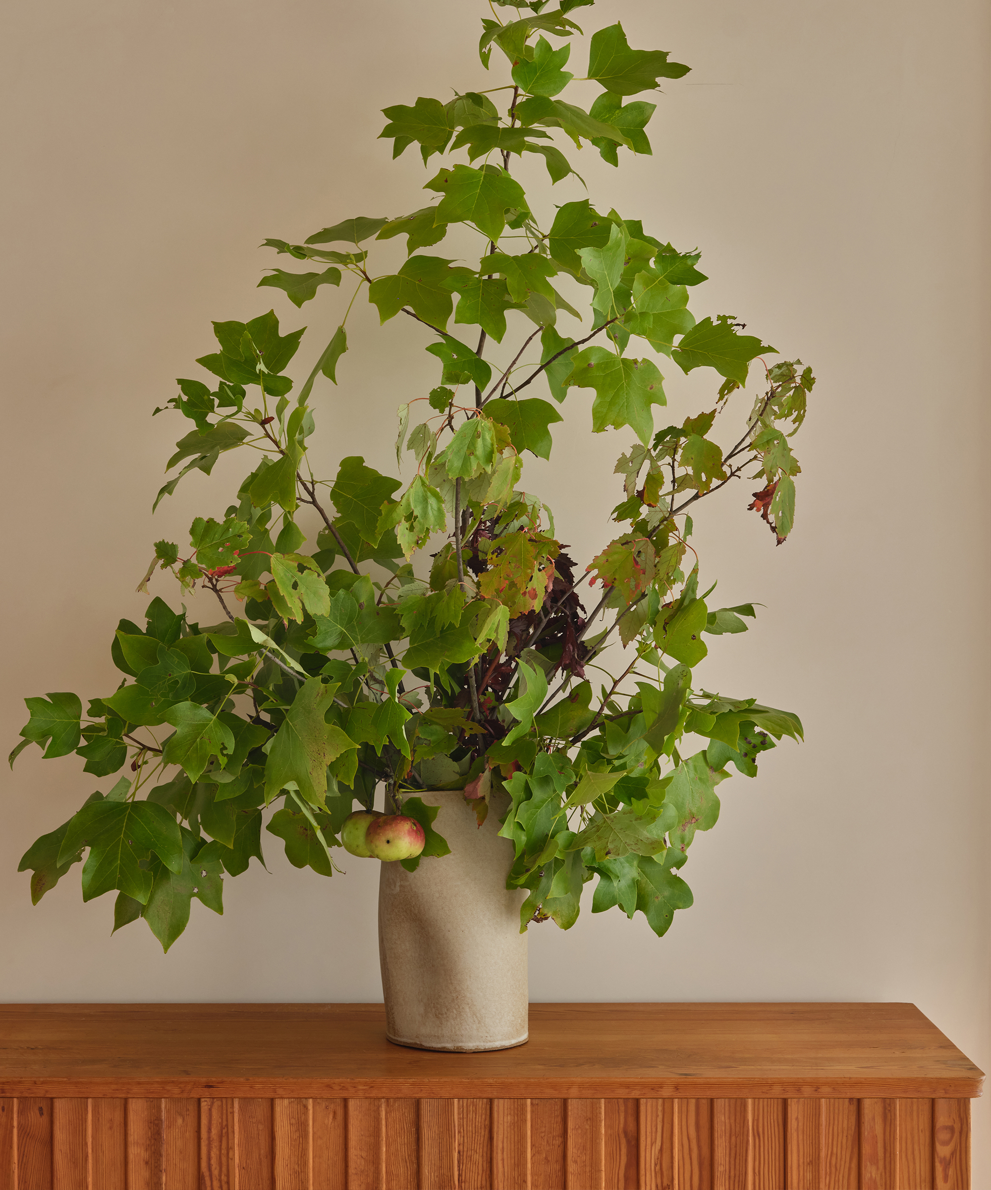 A vase filled with large green leafy branches and a single apple, placed on a wooden surface against a plain beige wall.