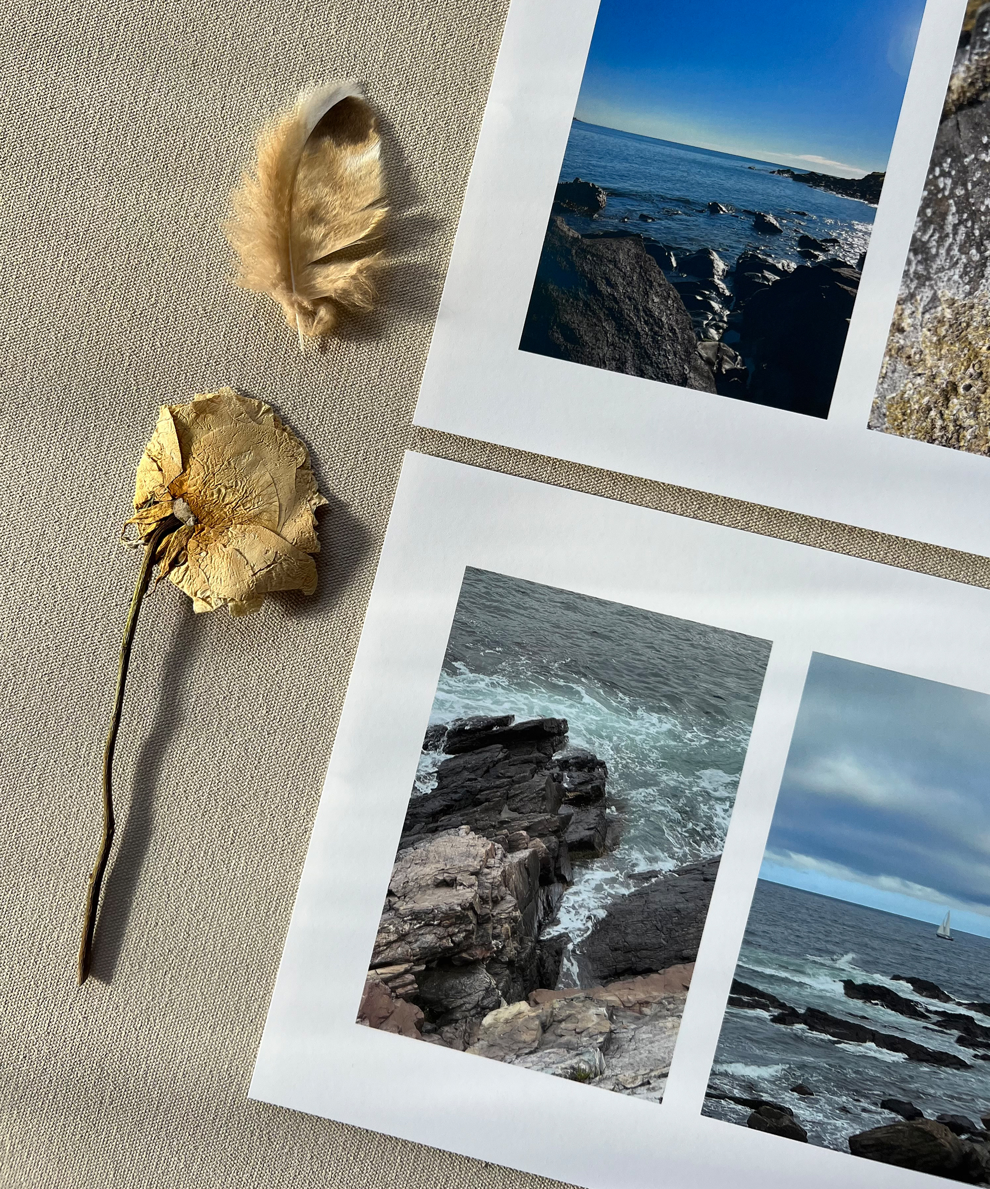 jenni-kayne-dumais-collaboration-inspiration-feathers-ocean-photos