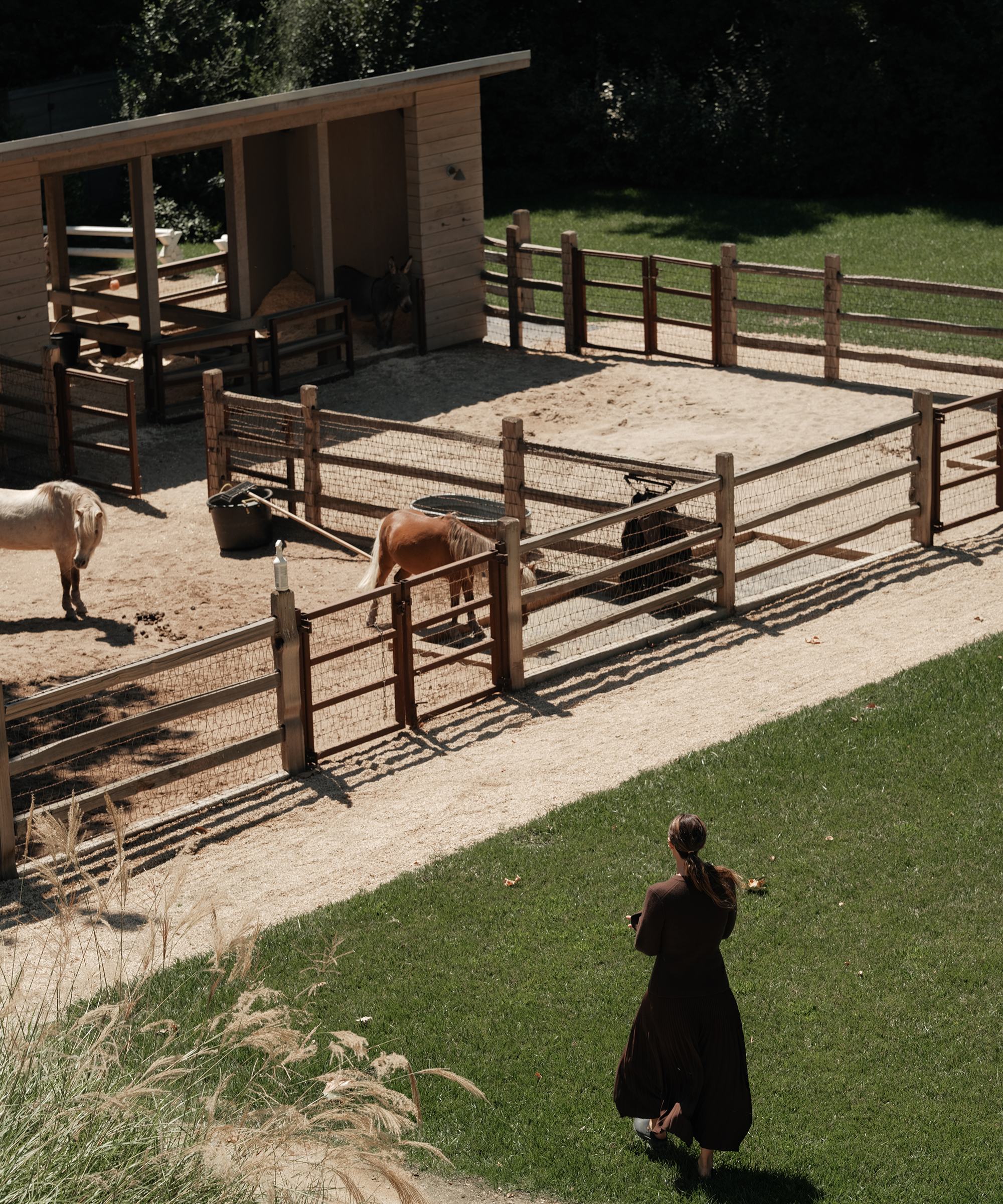 A woman in a brown fall outfit walks on grass toward a fenced animal enclosure with two small ponies and a wooden shelter inside, on a sunny day.