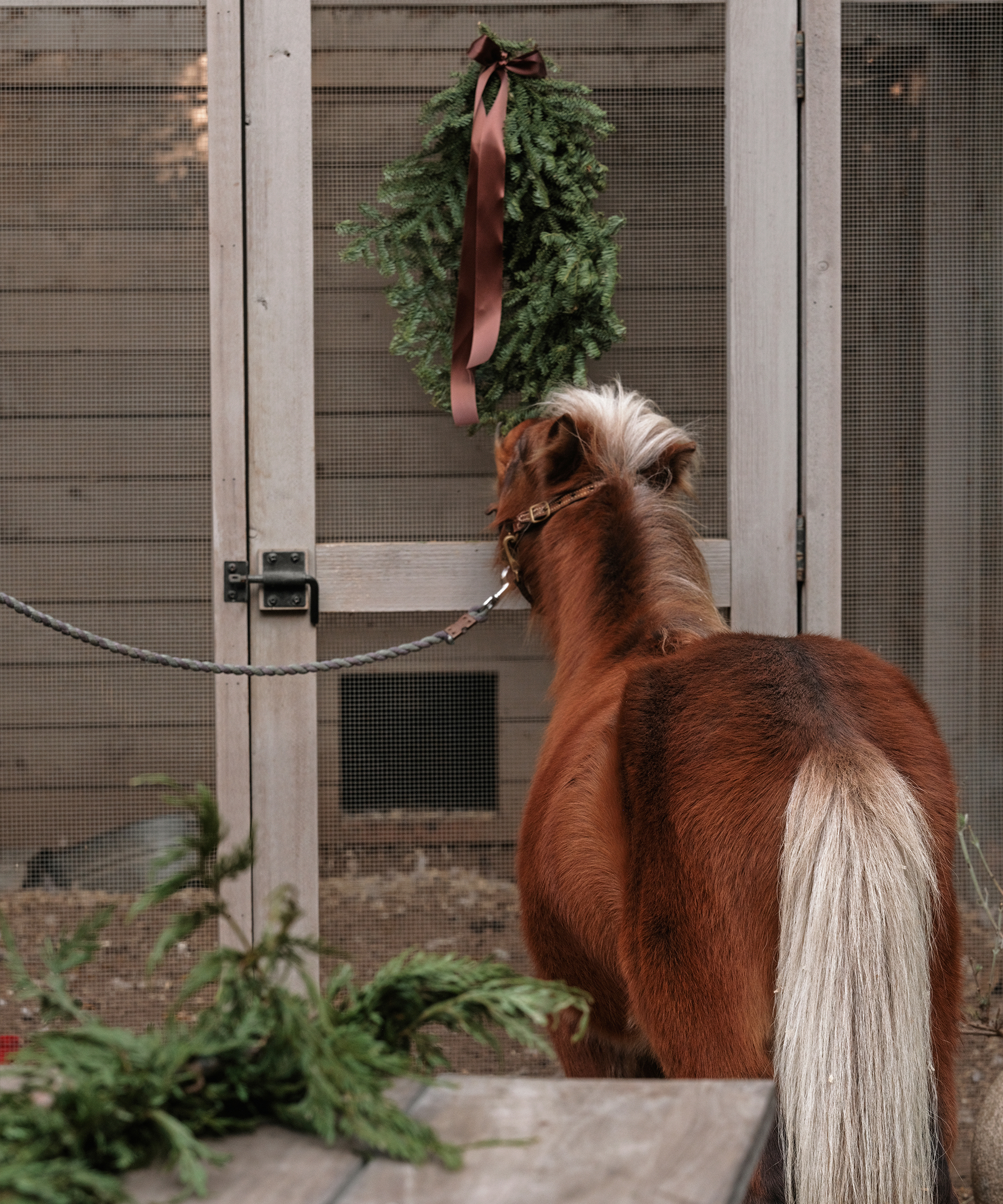 a horse standing in front of a stable with a green wreath