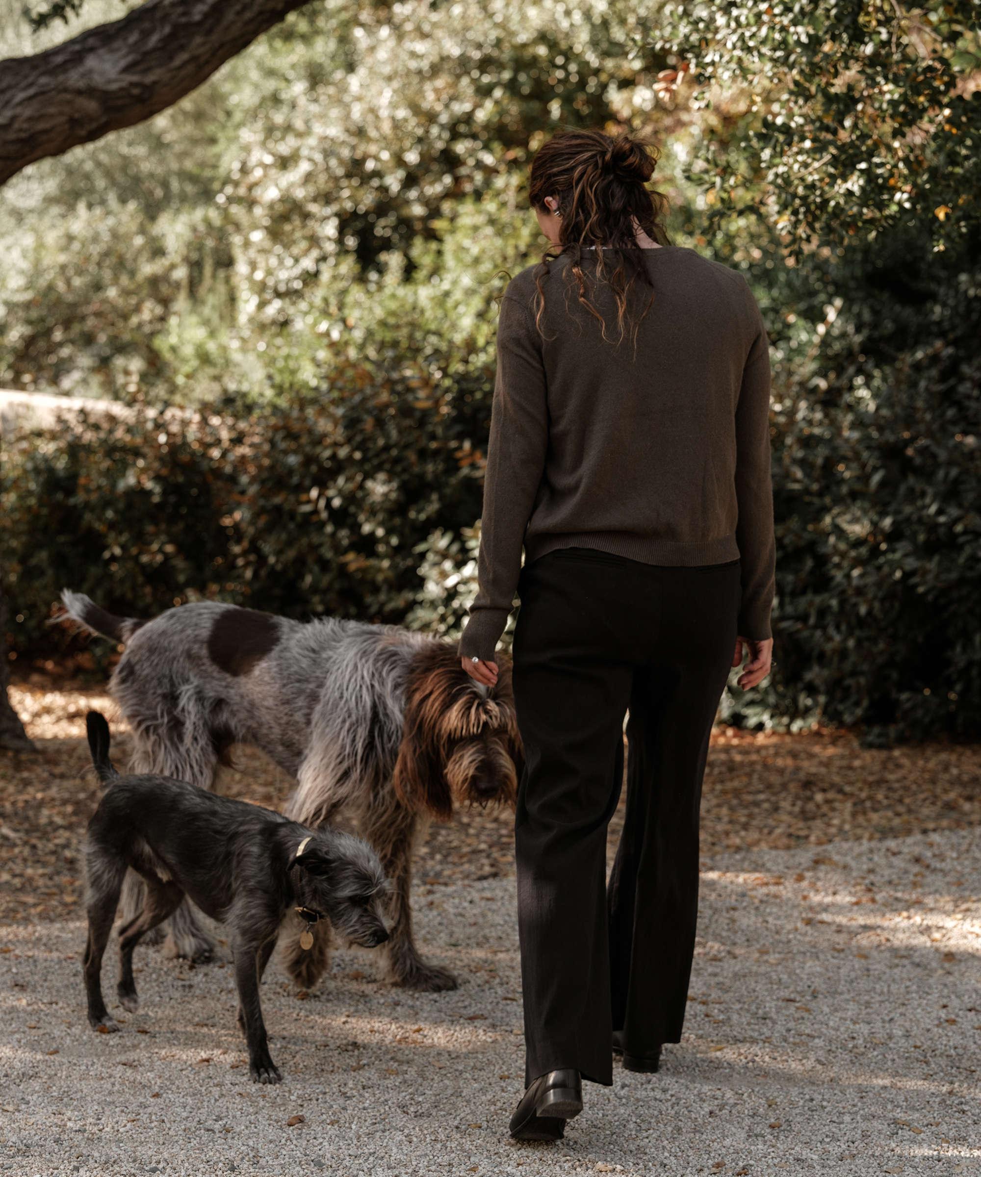 jenni-jan-style-flynn-sweater-trousers-dogs