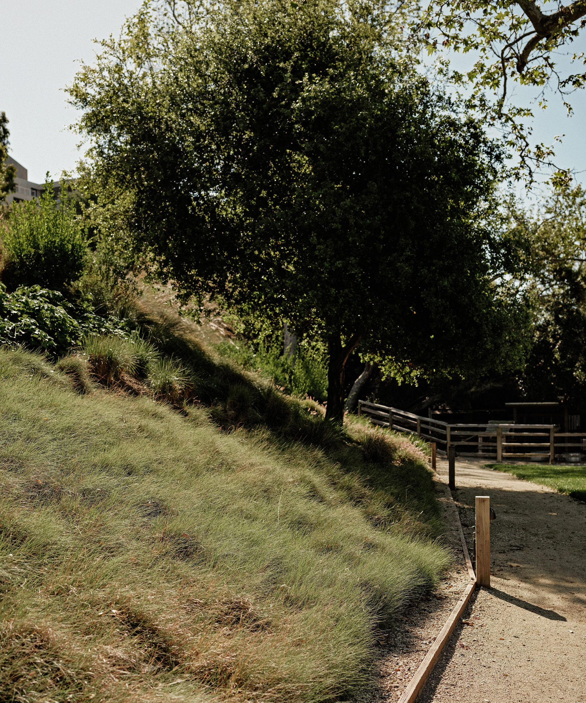 kasey-crown-trauma-healing-outdoor-path