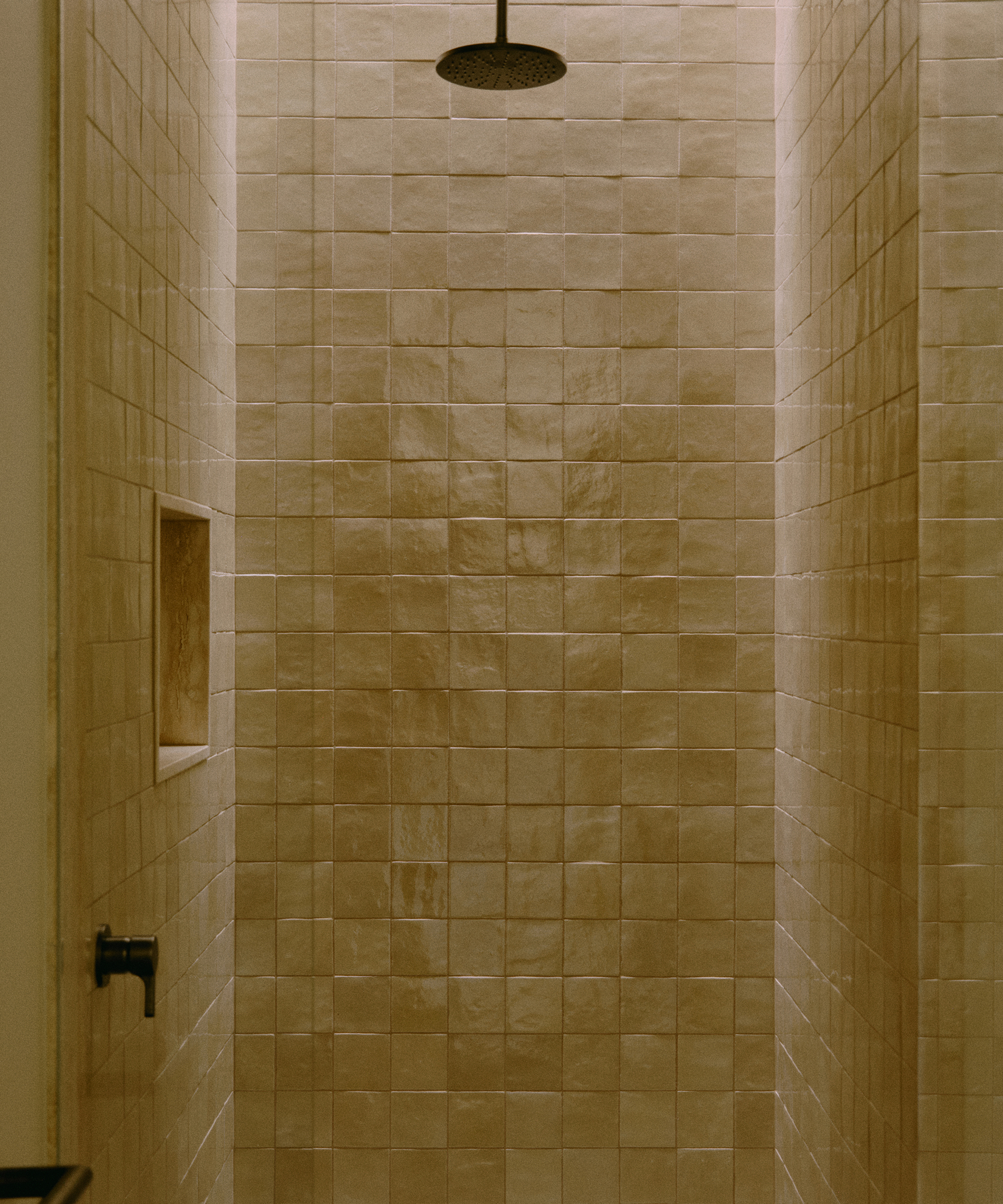 pasquale-cook-home-tour-bathroom-shower-tile