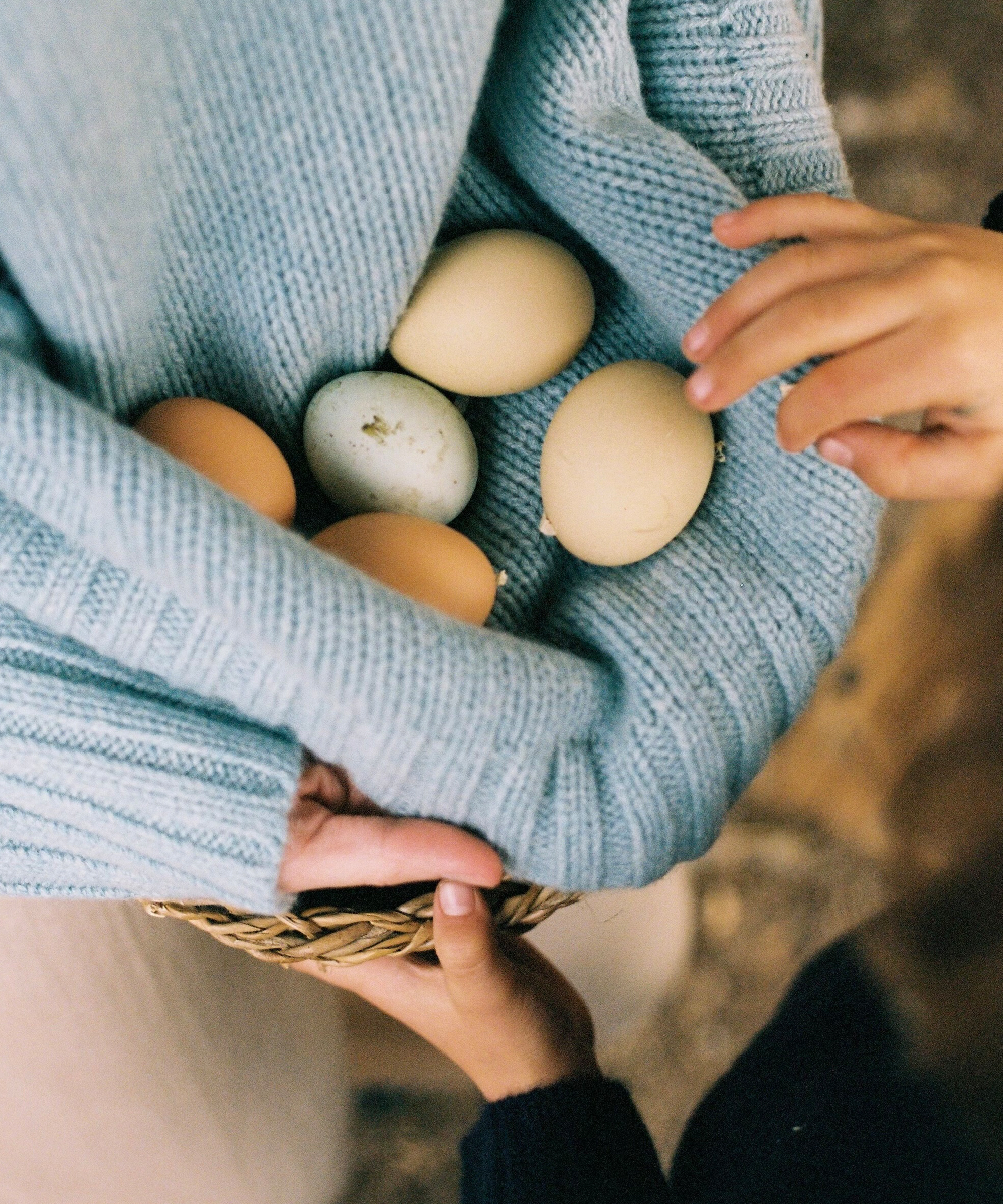 sara-covey-in-uniform-cashmere-amelia-seashore-eggs