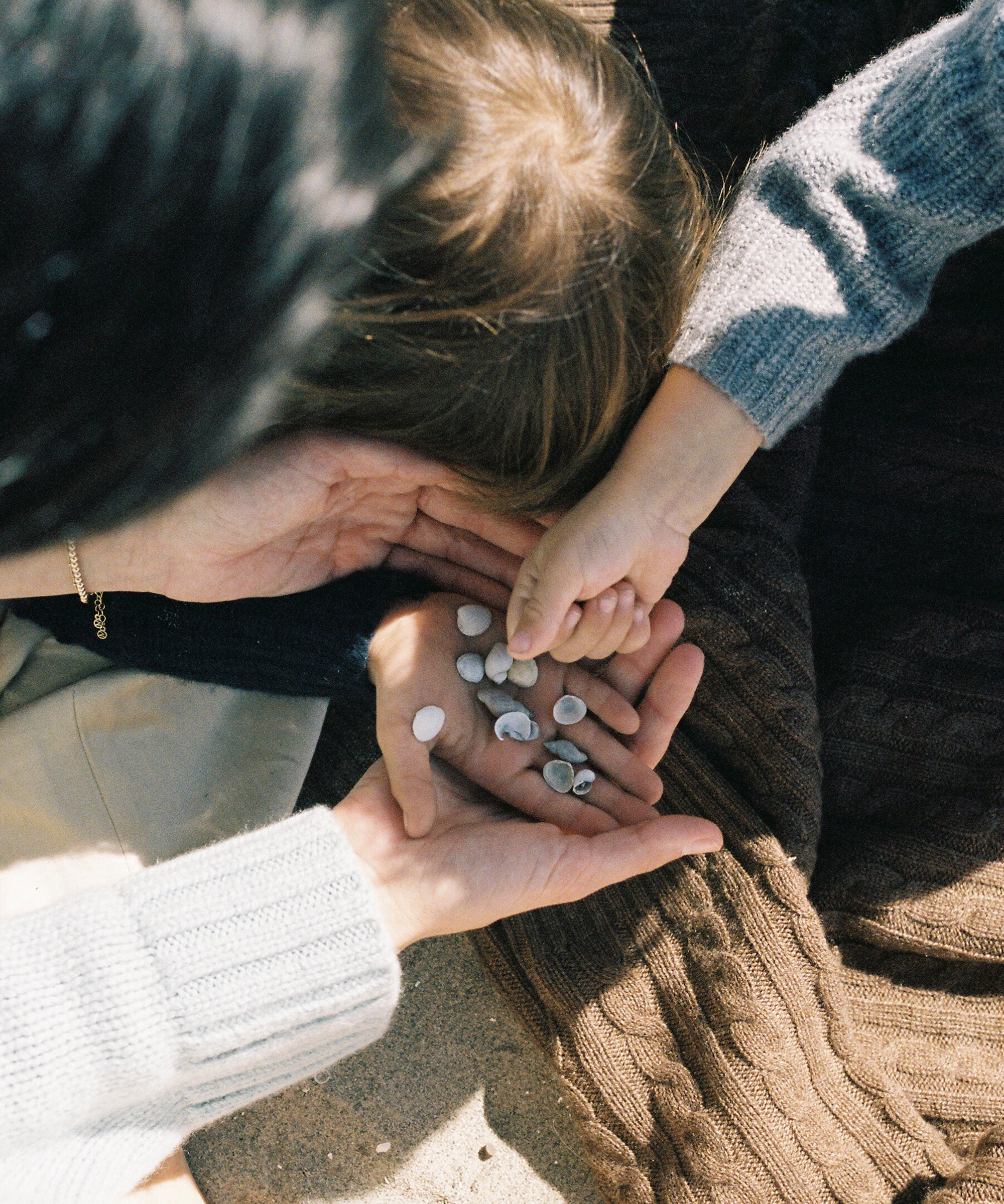 sara-covey-in-uniform-sweaters-seashells