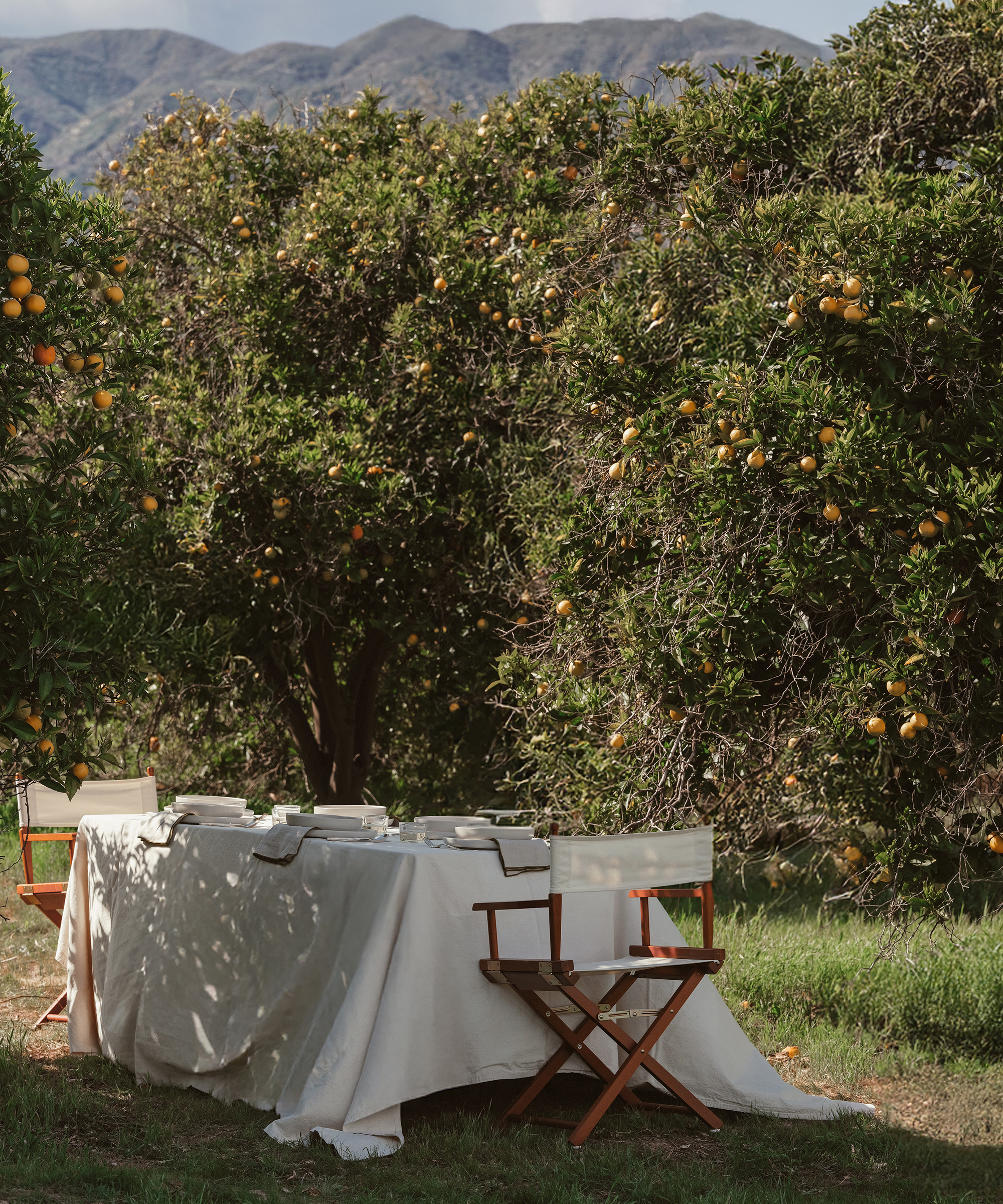 michele-kisser-outdoor-table-orange-fields