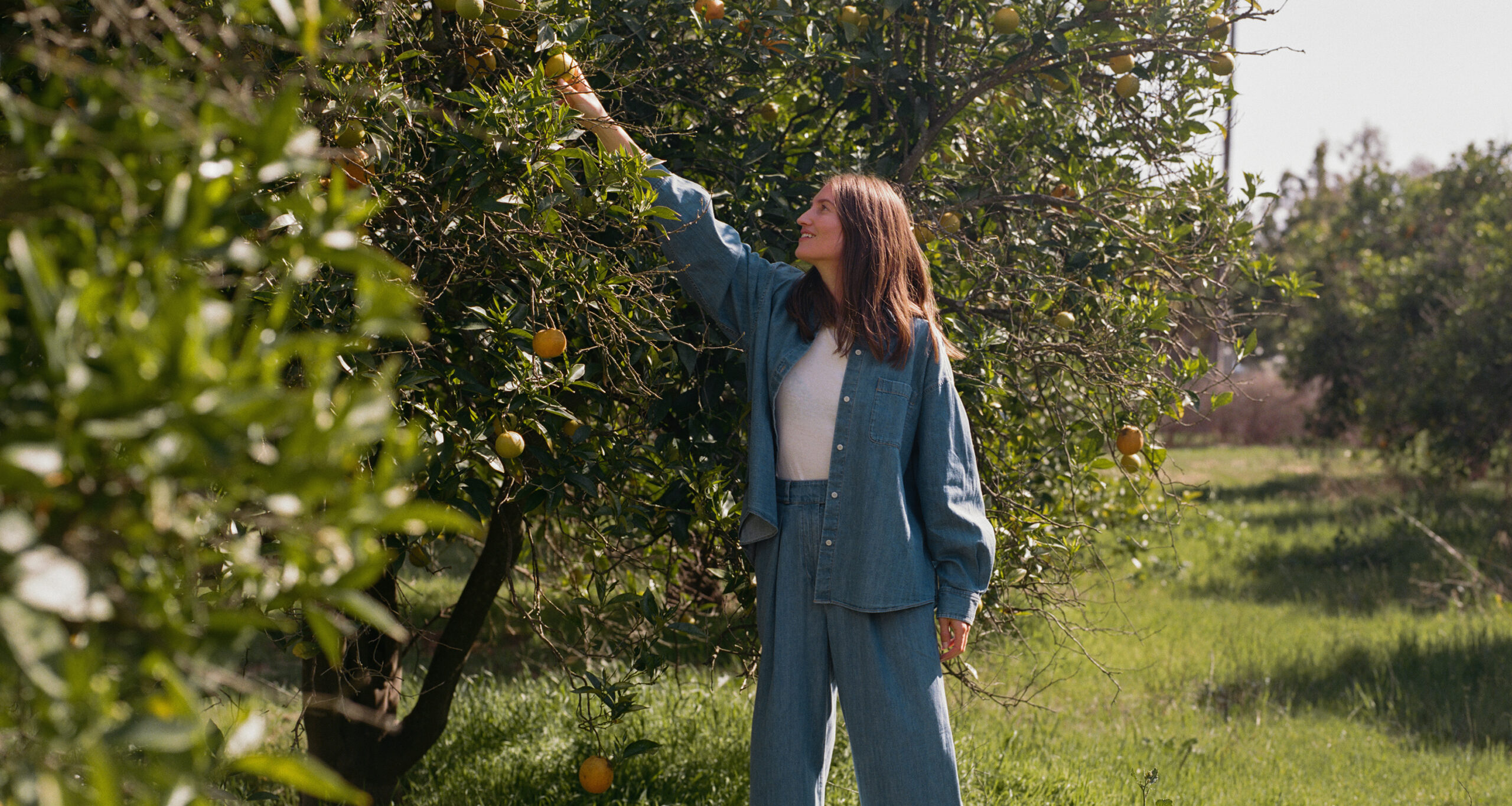 michele-oulet-benson-orange-grove-picking