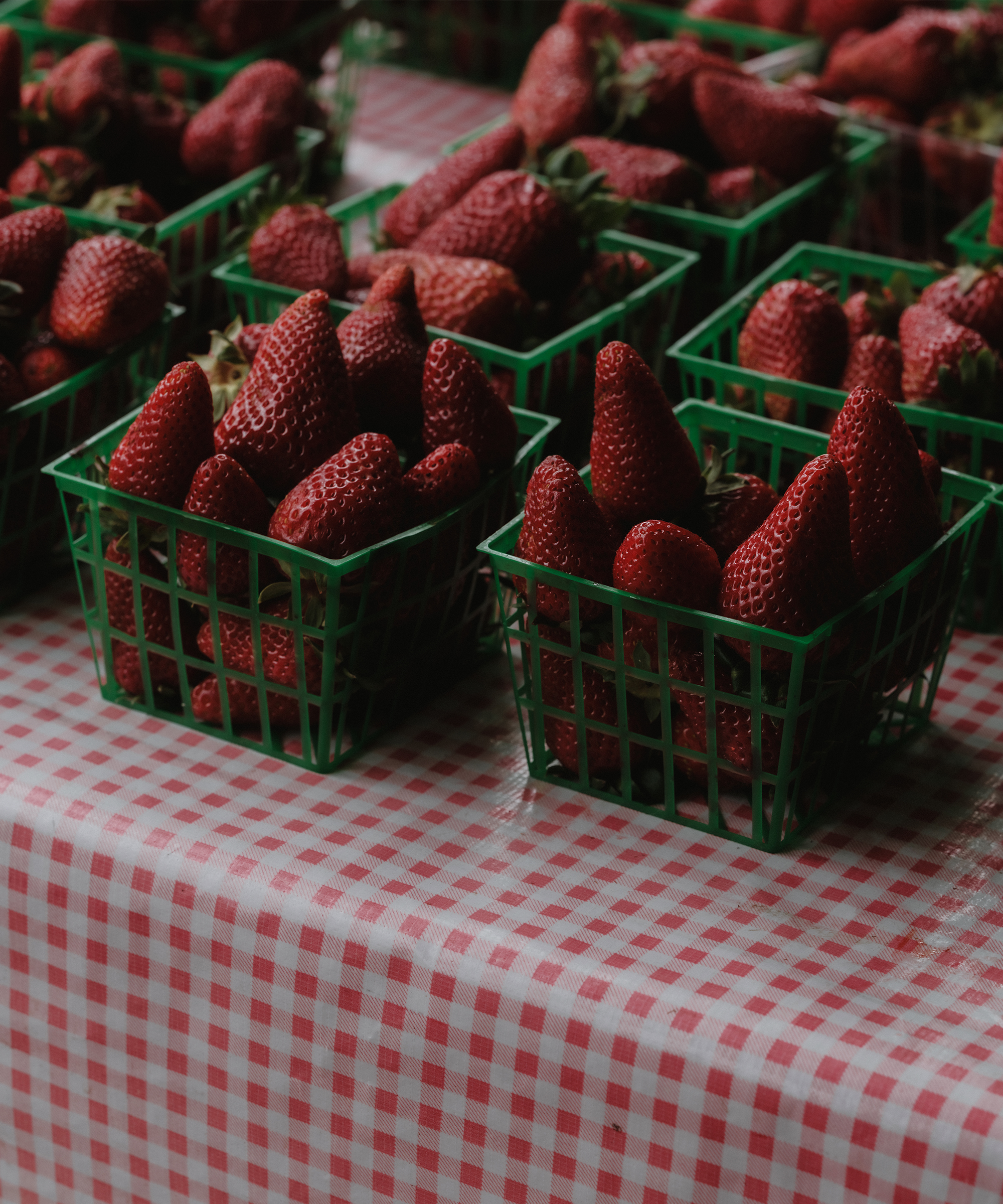 spring-brand-event-strawberries