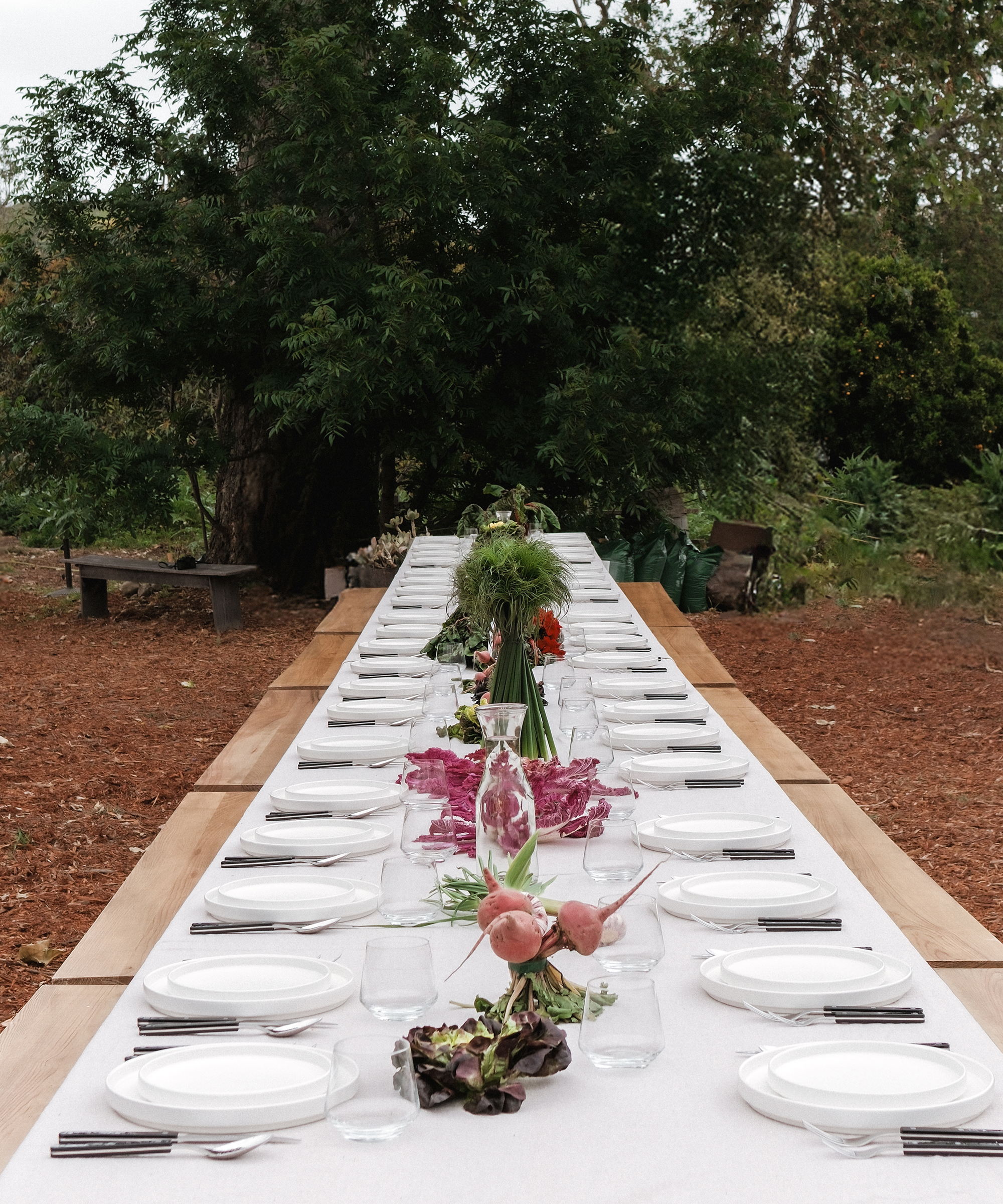 spring-brand-event-tabletop-plates-andlong-table