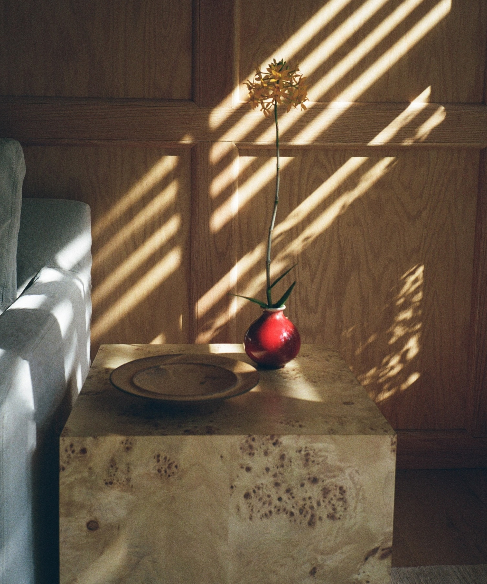 A yellow flower in a red vase sits on a wooden cube table next to a gray sofa, with warm sunlight and shadows streaming through blinds onto the wood-paneled wall and surfaces.