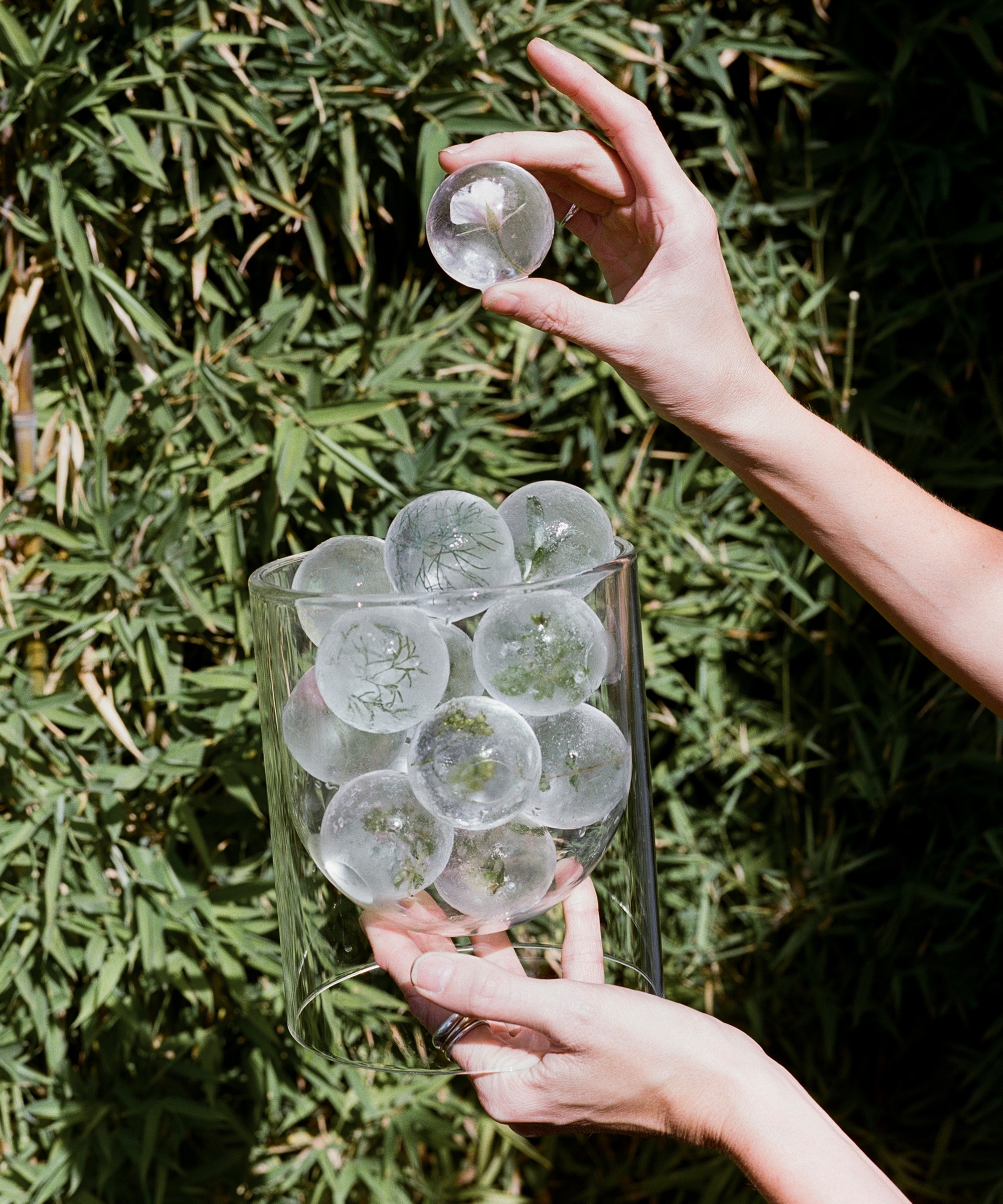 a woman holding a budget of sphere shaped ice with florals frozen in them in front of a green bush