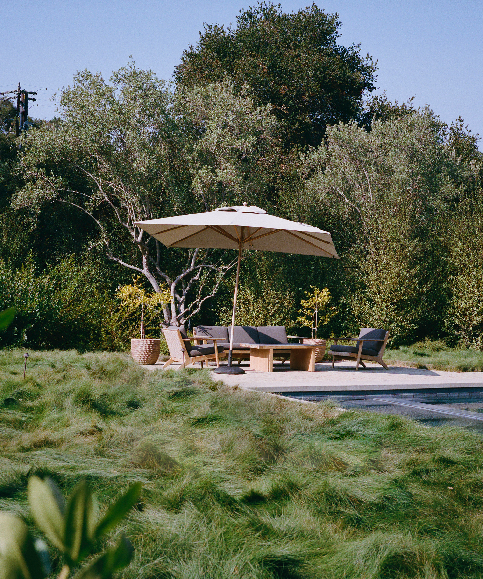 A patio set with chairs, a sofa, and a table sits under a large umbrella beside a pool, surrounded by tall green grass, trees, and clear blue sky—creating a tranquil oasis that feels as refreshing as an orca gliding through calm waters.