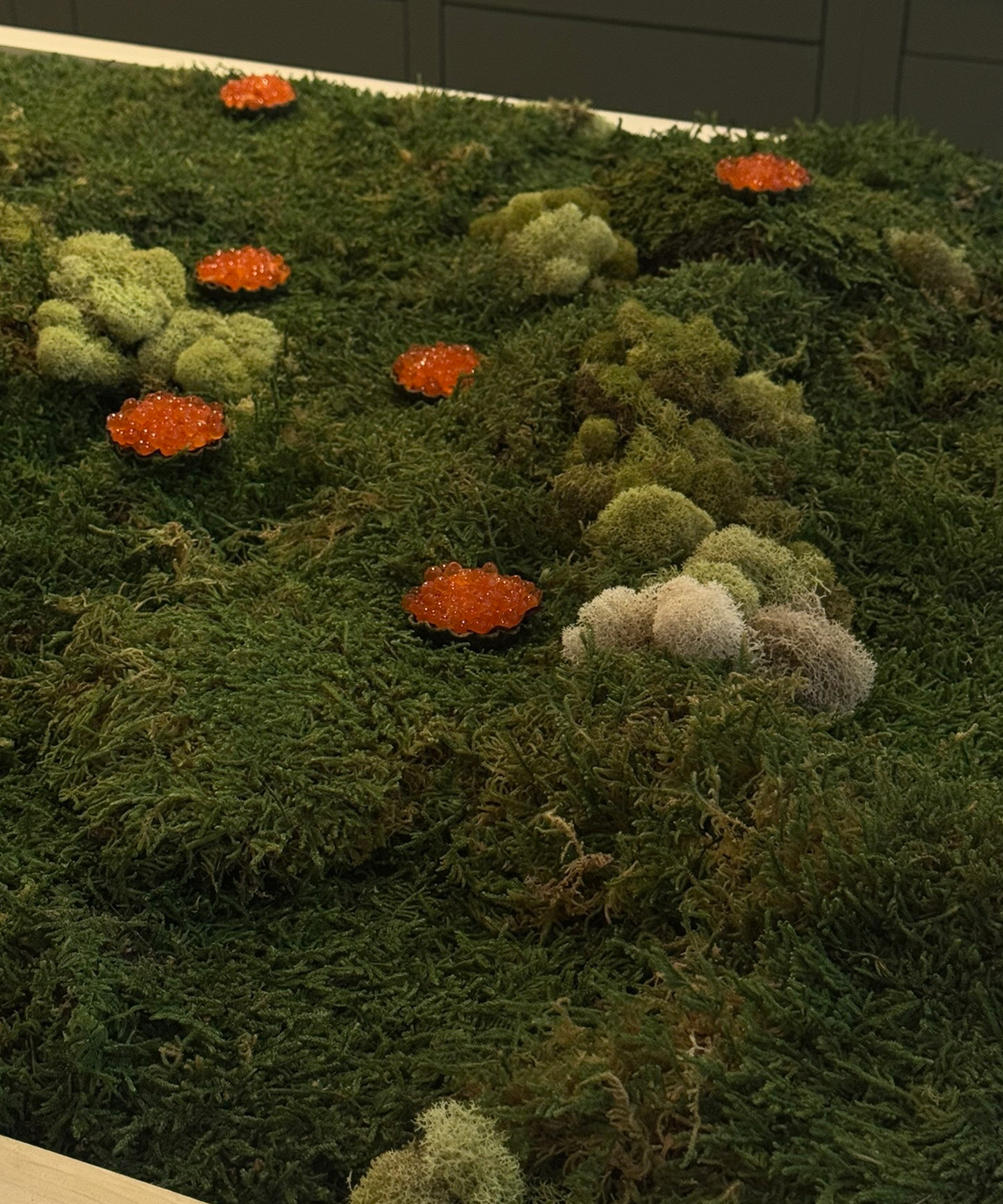 Green moss covers a flat surface, with small clusters of bright orange fish roe arranged on top—an artistic contrast of colors and textures that wouldn’t look out of place at New York Fashion Week. Dark cabinets are visible in the background.