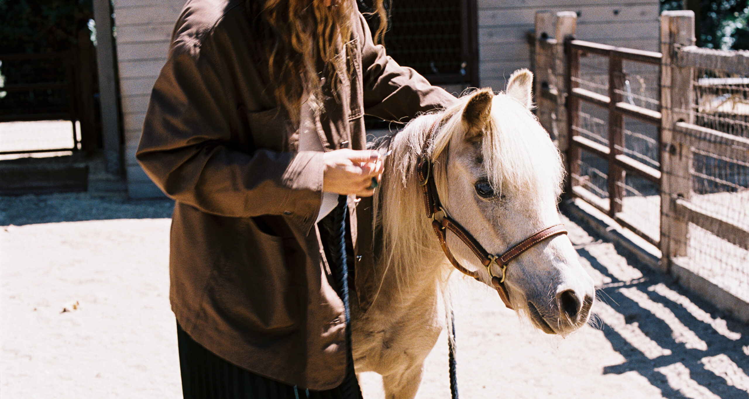 jenni-october-style-eaton-horses