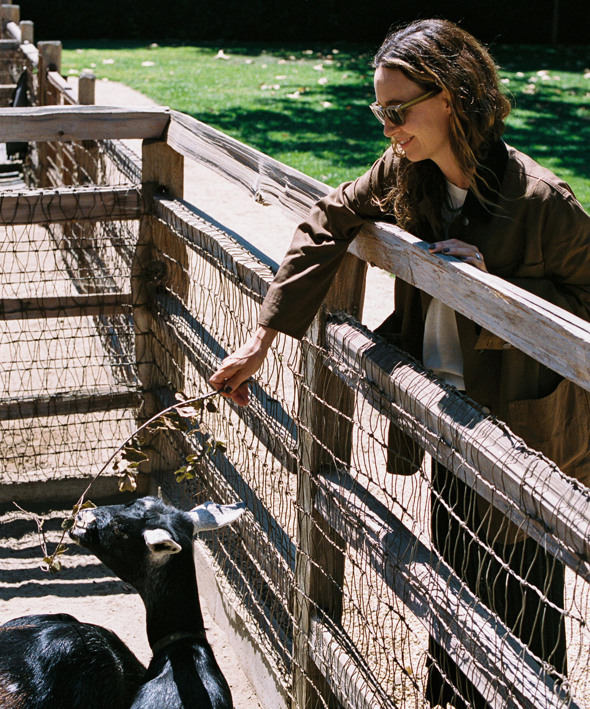 A woman wearing sunglasses feeds a black goat with a leafy branch over a wooden fence at an outdoor enclosure on a sunny day.