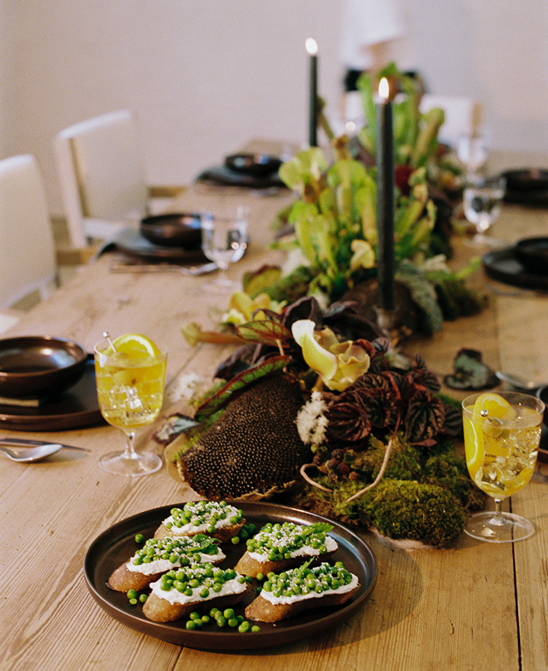 A wooden dining table set with black plates, glasses of lemon drinks, and a lush green centerpiece; the foreground shows a plate of toasted bread topped with ricotta and green peas.