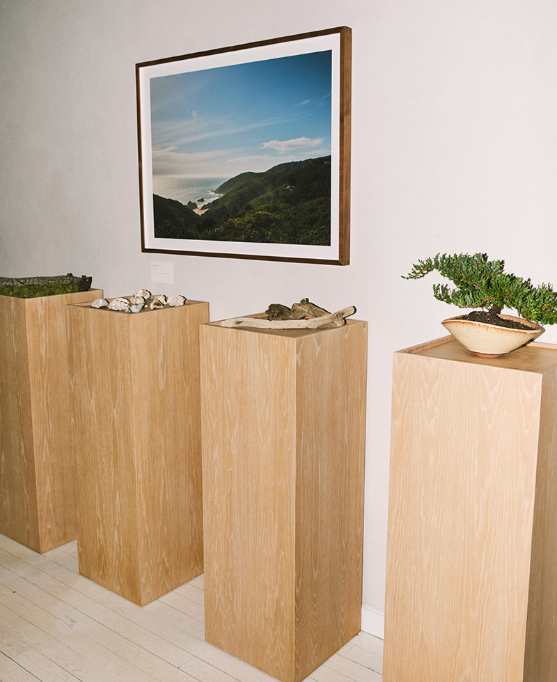 4 wooden plinths holding rocks and beach materials