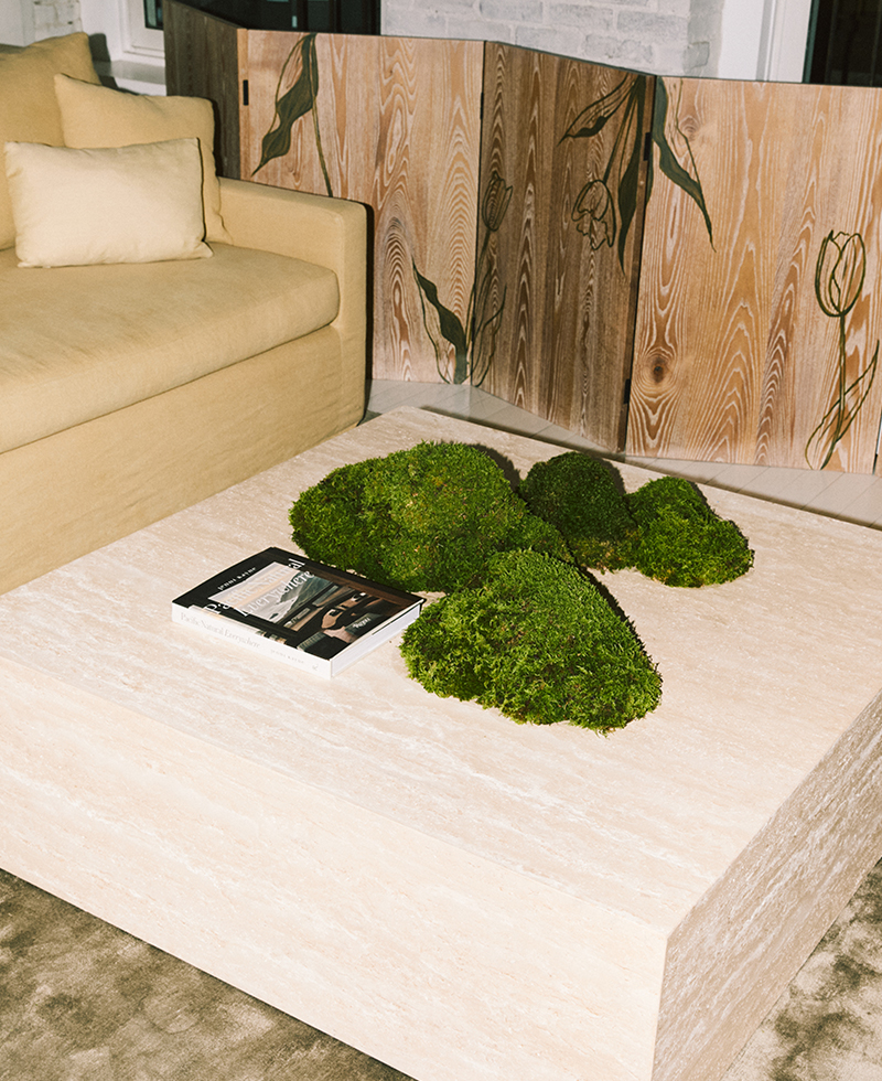 pne-book-signing-soho-pne-book-moss-display